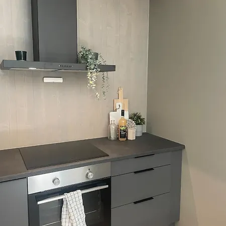 Apartment Familiy In Myrkdalen Voss *